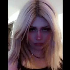 Guest photo on Jungo Live