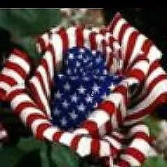 Kevin Michael photo on Jungo Live