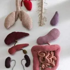 Simple photo on Jungo Live