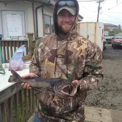 Jose photo on Jungo Live