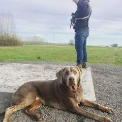 Jose photo on Jungo Live