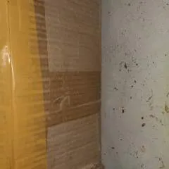 Kako photo on Jungo Live