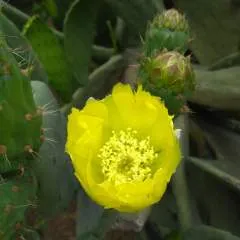 Juancho photo on Jungo Live