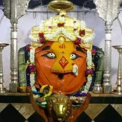 Raj Patil photo on Jungo Live