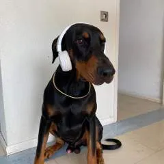 Savas photo on Jungo Live