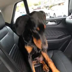 Savas photo on Jungo Live