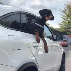 Savas photo on Jungo Live