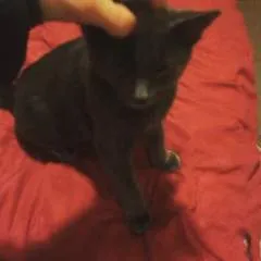 John photo on Jungo Live