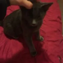 John photo on Jungo Live