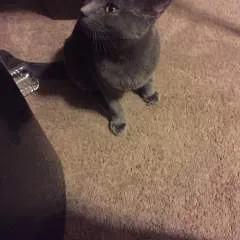 John photo on Jungo Live