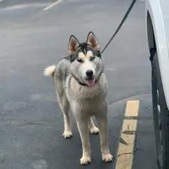 Chris photo on Jungo Live