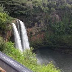 Brian photo on Jungo Live