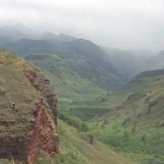 Brian photo on Jungo Live