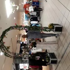 Ionel photo on Jungo Live