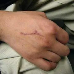 Davenport photo on Jungo Live