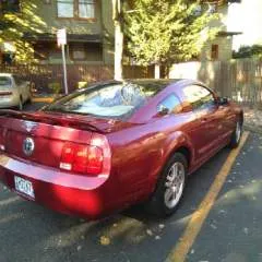 Sl photo on Jungo Live