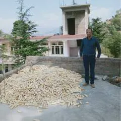 Ghaffari photo on Jungo Live