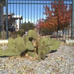 Troy photo on Jungo Live