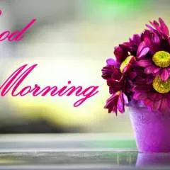 Sid photo on Jungo Live