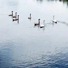 Jeffzzy Blaze Hansome photo on Jungo Live