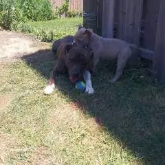 Blessing photo on Jungo Live