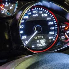 Jesse photo on Jungo Live