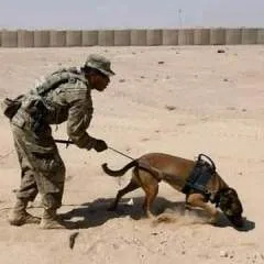 Larry photo on Jungo Live