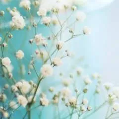 Shankar photo on Jungo Live