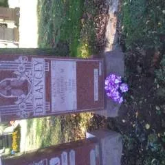 Sexyboy photo on Jungo Live