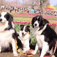 Jeff.... photo on Jungo Live