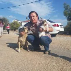 .... photo on Jungo Live