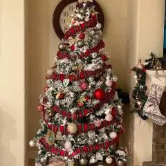 Guest photo on Jungo Live