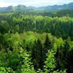 Pardaillan photo on Jungo Live