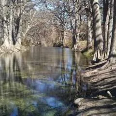 Rolx photo on Jungo Live