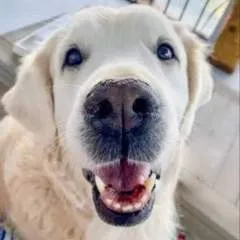 Rubysx photo on Jungo Live