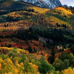 Bradley photo on Jungo Live