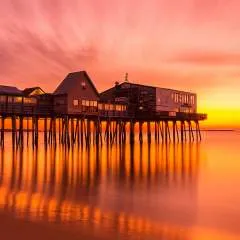 Bradley photo on Jungo Live