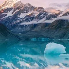 Bradley photo on Jungo Live