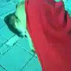 Begümşans photo on Jungo Live