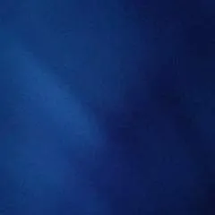 Tommy photo on Jungo Live