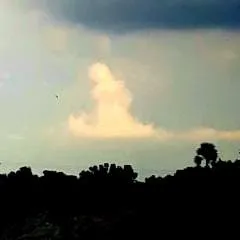 Pain photo on Jungo Live