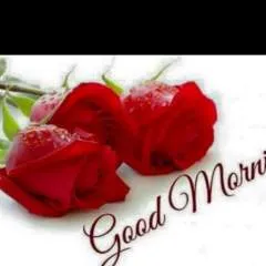 Leal Alex photo on Jungo Live