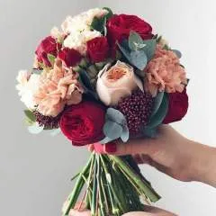 Ryan photo on Jungo Live