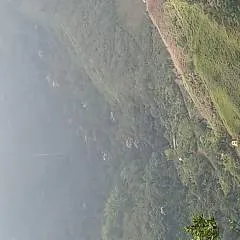 Andrés Camilo photo on Jungo Live