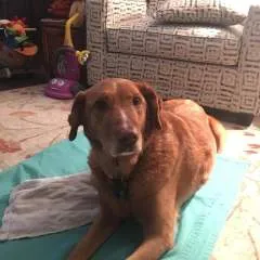 Jaybird_rltwd photo on Jungo Live