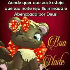 Guilherme60 photo on Jungo Live