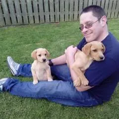 Wolfenstin photo on Jungo Live