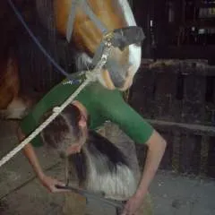 Degudo photo on Jungo Live