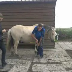 Degudo photo on Jungo Live