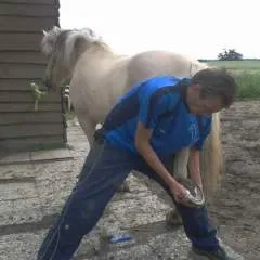 Degudo photo on Jungo Live